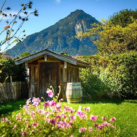 Alpenluft Ii
